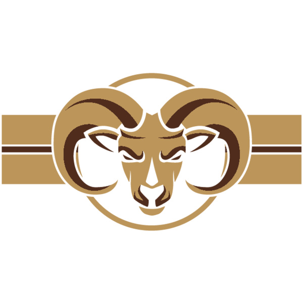 COLLEGE 12 Thumbnail