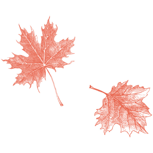 CELEBRATION 7 Thumbnail