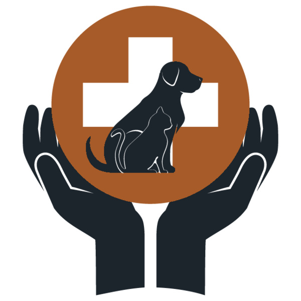 MEDICAL 10 Thumbnail