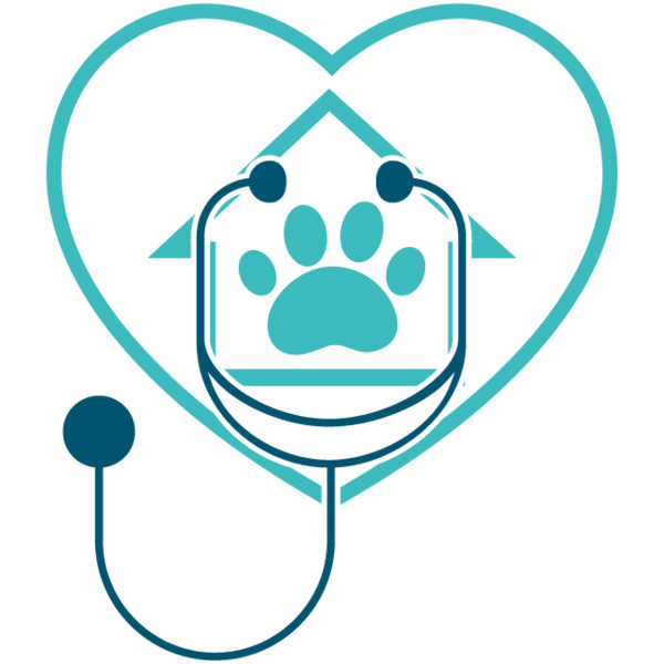 MEDICAL 12 Thumbnail